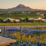 Things to do in Fredericksburg TX