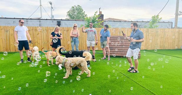 The dog Bar