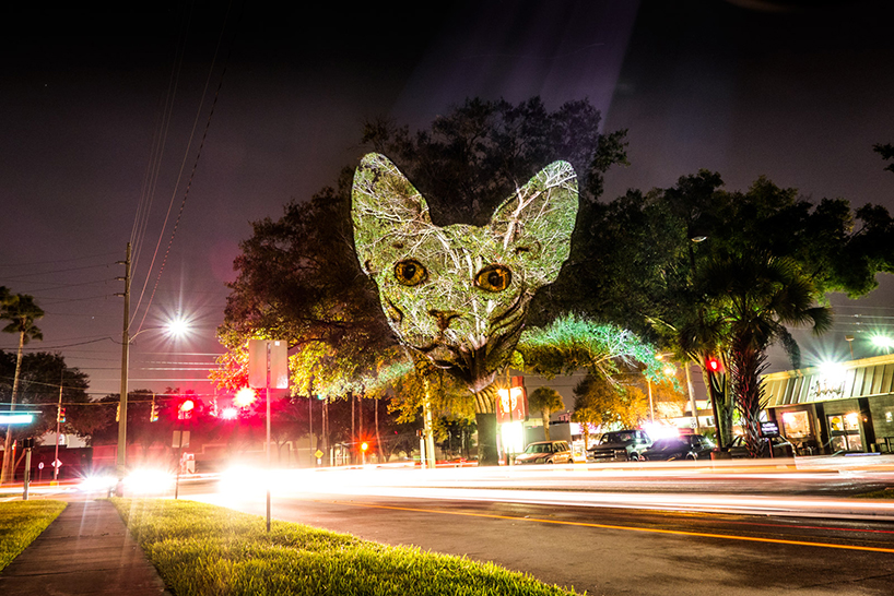 Street Art Safari