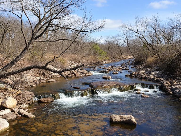 Wells Branch Austin