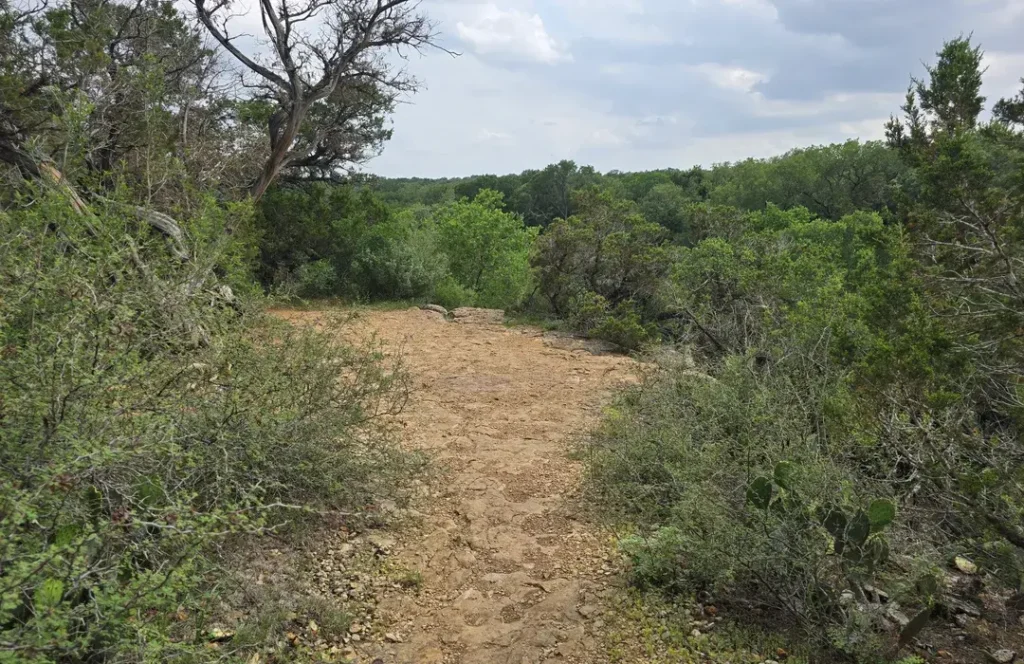 Dante’s Trail to Paraiso